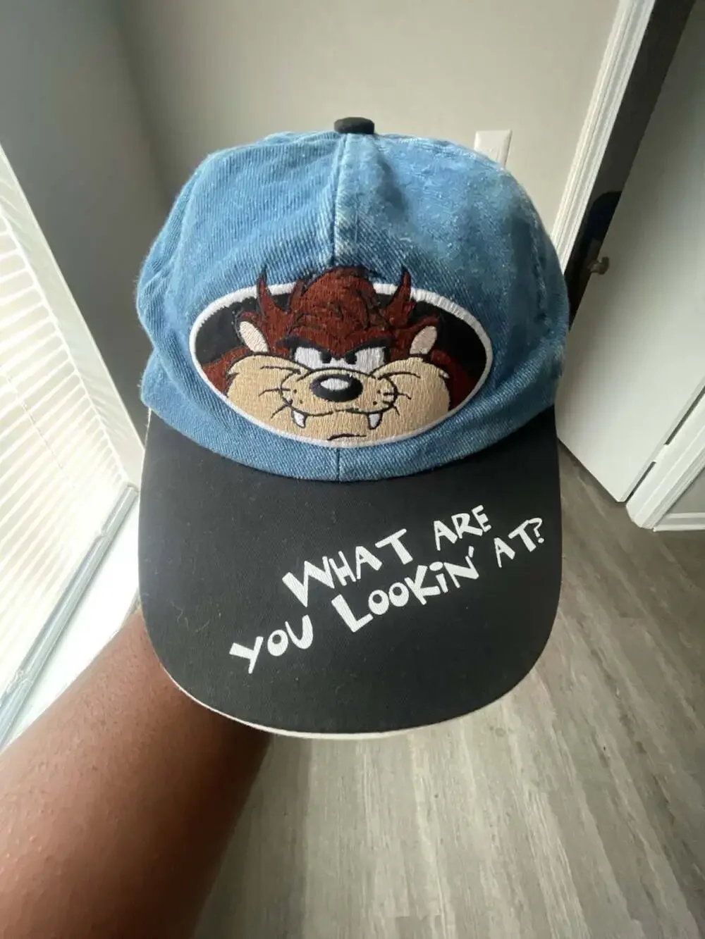 Vintage Looney Tunes Taz Tasmanian Devil 